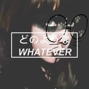 Meet your Posher, Cora